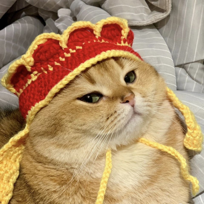 Pet Autumn Winter Cat Stretch Knit Hat Exquisite..