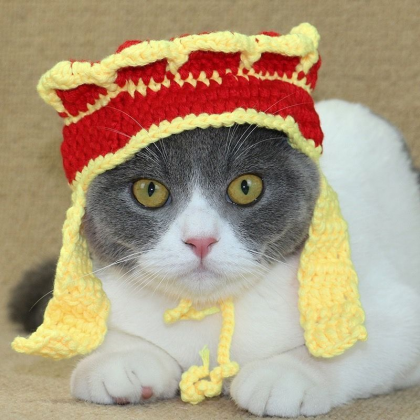Pet Autumn Winter Cat Stretch Knit Hat Exquisite..