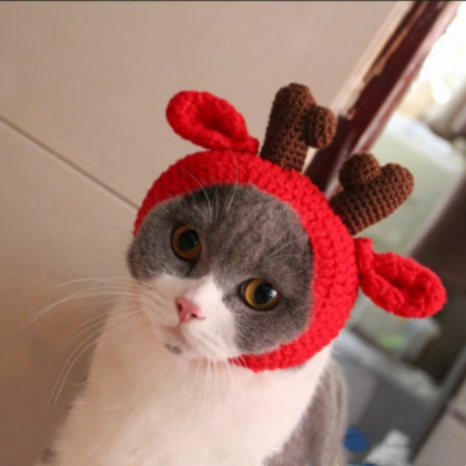 Christmas Sphynx Cat Hooded Sweater Winter Warm..