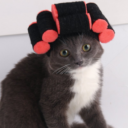 Vivid Pet Hat Cute Curly Hair Shape Dog Hat..