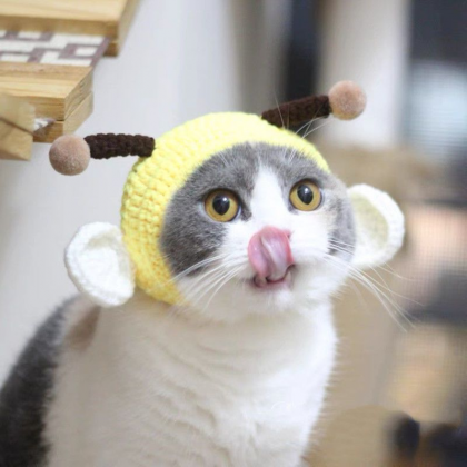 Funny Knitted Cat Costumes Hat Wool Cute Dog Pet..
