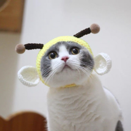 Funny Knitted Cat Costumes Hat Wool Cute Dog Pet..