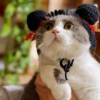 Fancy Cat Costume Pet Clothes Cap Cute Cat Costume..