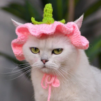 Wool Knitted Hat For Pet, Cute Cat Cap,..
