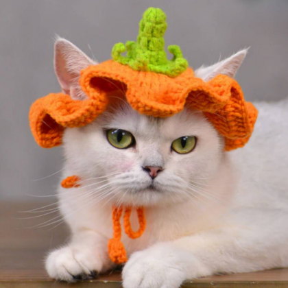 Wool Knitted Hat For Pet, Cute Cat Cap,..