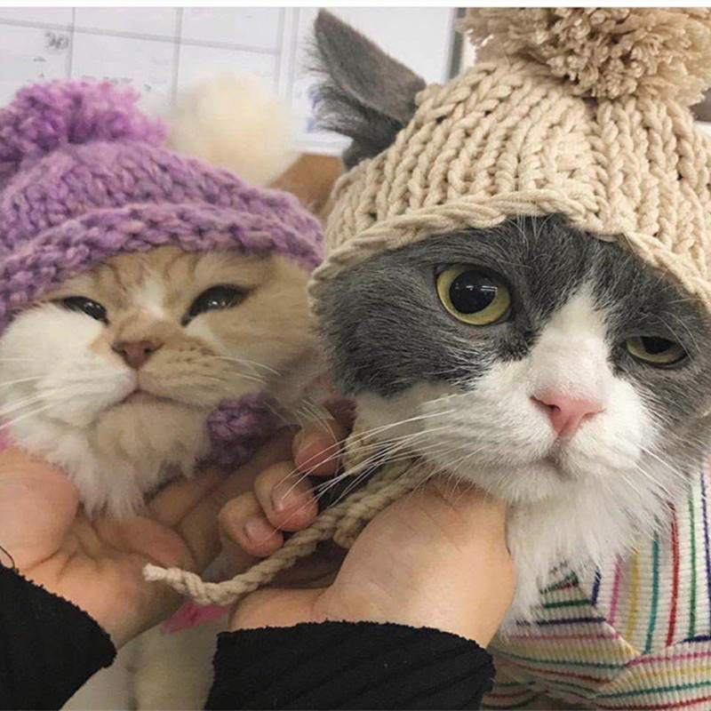 Autumn Winter Cat Hat Elastic Cute Refined Pet Hat Puppy Kittens Knitted Hat Party Photo Shoot Props Decoration Cat Accessories