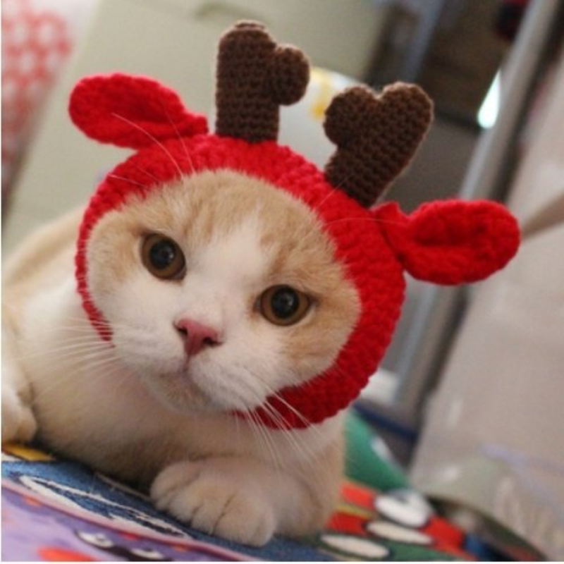 Christmas Sphynx Cat Hooded Sweater Winter Warm Pet Costume For Cats Gotas Katten Garfield Clothes Sweatshirt Mascotas Clothing