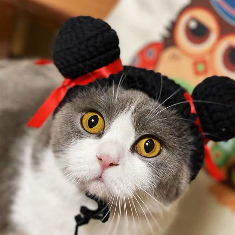 Fancy Cat Costume Pet Clothes Cap Cute Cat Costume Cosplay Kitten Small Dog Hat With Ears Funny Pet Party Supplies